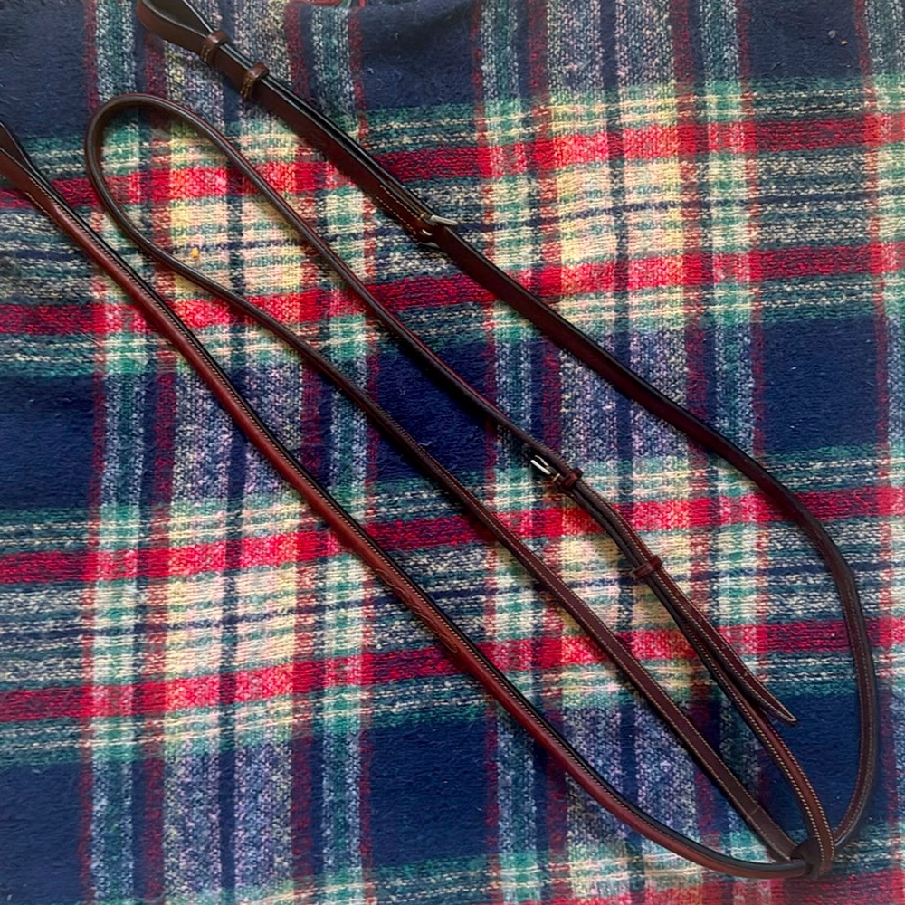 Edgewood raised fancy stitched martingale.